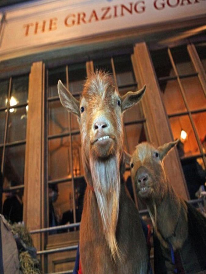 Hotel The Grazing Goat London Exterior foto